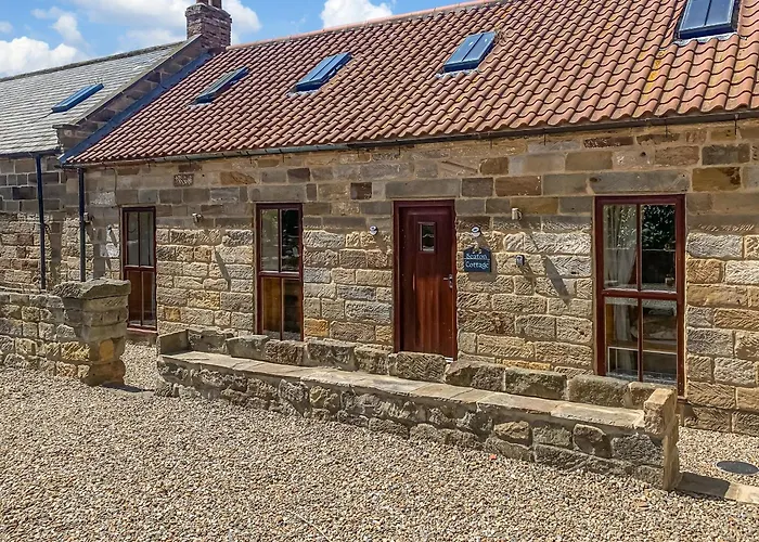 Seaton Cottage - Uk31990